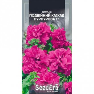 Петунія Подвійний Каскад пурпурова F1 Seedera зображення 5