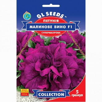 Петунія Малинове вино F1 GL Seeds зображення 5