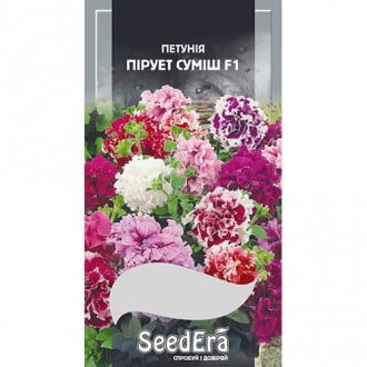 Петунія Пірует F1, суміш забарвлень Seedera зображення 5