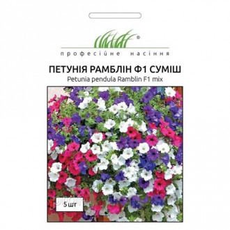 Петунія Рамблін F1, суміш забарвлень Професійне насіння зображення 6
