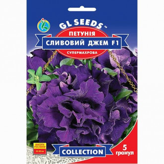 Петуния Сливовый джем F1 GL Seeds рисунок 6