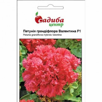 Петунія Валентина червона F1 Садиба центр зображення 1