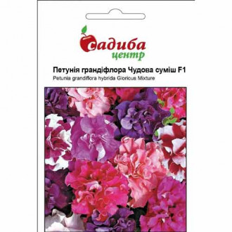 Петунія Чудова F1, суміш забарвлень Садиба центр зображення 4