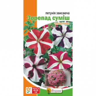 Петунія звисаюча Зорепад, суміш забарвлень Яскрава зображення 4