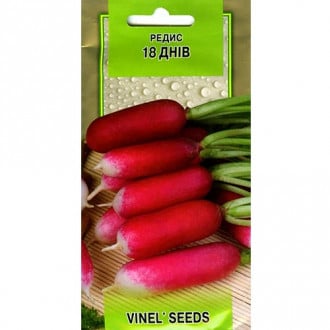 Редис 18 дней Vinel seeds рисунок 5