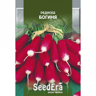 Редис Богиня Seedera, насіння зображення 5