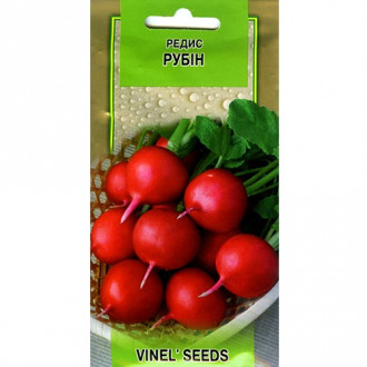 Редис Рубин Vinel seeds рисунок 5