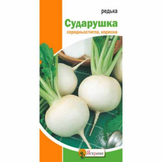 Редька Белая Сударушка рисунок 3