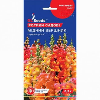 Ротики садовi (левовий зев) Мідний вершник GL seeds зображення 1