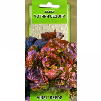 Салат кочанный Четыре сезона Vinel seeds рисунок 6