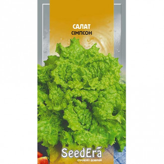 Салат листовой Симпсон Seedera рисунок 5