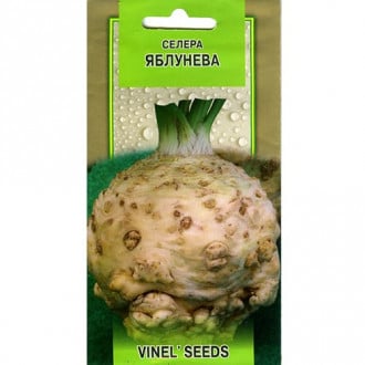 Сельдерей корневой Яблочный Vinel seeds рисунок 2