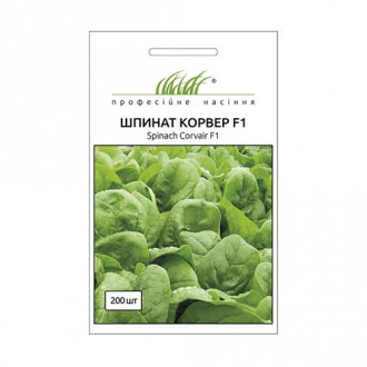Шпинат Корвер F1 Професійне насіння зображення 5