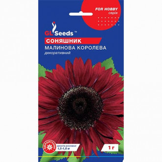 Подсолнечник Малиновая королева GL Seeds рисунок 6