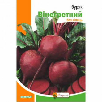 Буряк столовий Вінегретний Яскрава зображення 6