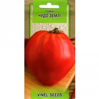 Томат Чудо Земли Vinel seeds рисунок 4