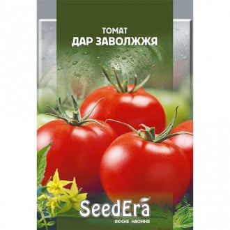 Томат Дар Заволжжя Seedera зображення 5