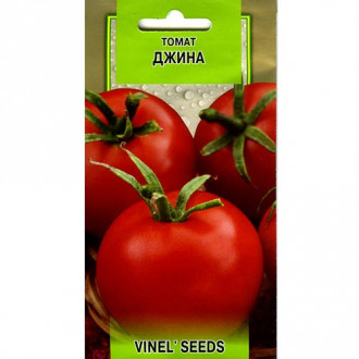 Томат Джина Vinel seeds, семена рисунок 1