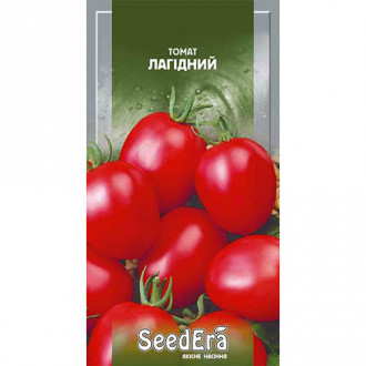 Томат Ласковый Seedera рисунок 5