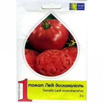 Томат Леді Досконалисть Vinel seeds зображення 10