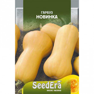 Тыква Новинка Seedera рисунок 5