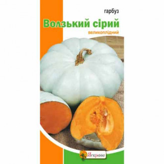 Гарбуз Волзький сiрий Яскрава зображення 5