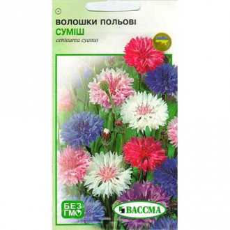 Волошка польова, суміш забарвлень Seedera зображення 3