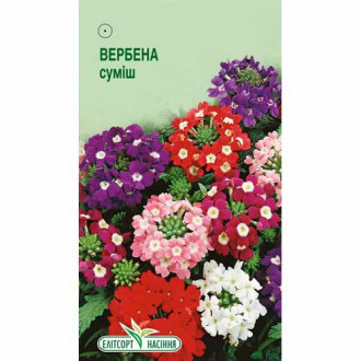 Вербена гібридна, суміш забарвлень Елітсорт зображення 6