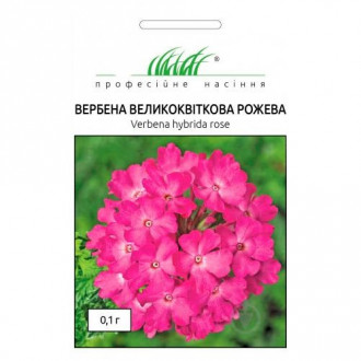 Вербена рожева Професійне насіння зображення 4