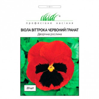 Віола Віттрока Червоний гранат Професійне насіння зображення 4