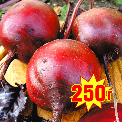 Буряк Бордо-237, насіння зображення 1 артикул 65148