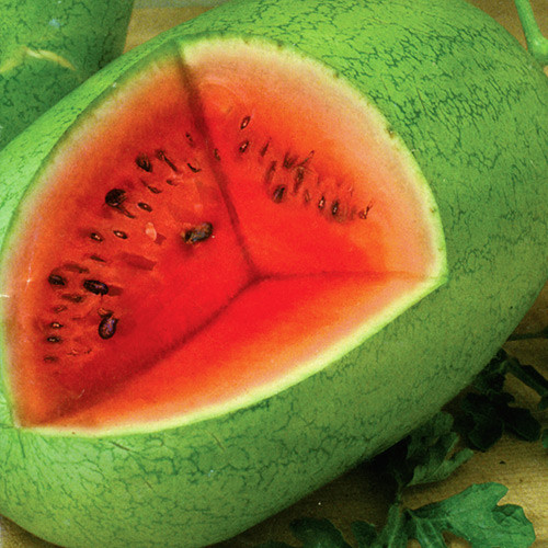 Кавун Медовий гігант, насіння зображення 1 артикул 65098