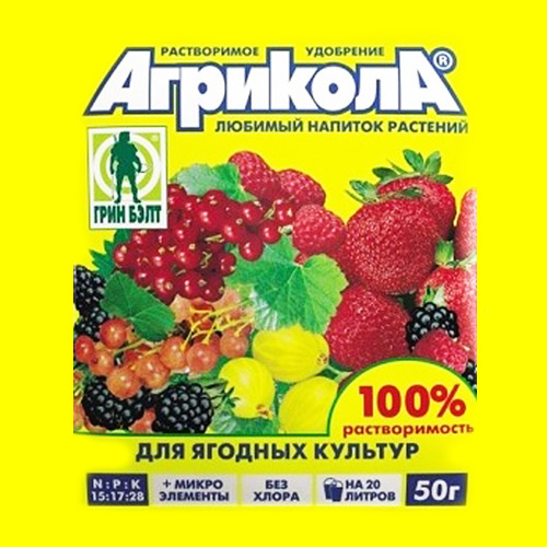 Удобрение для ягод артикул фото 1 Удобрение для ягод рисунок 1 артикул 04063