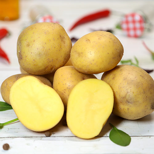 Картофель Королева Анна рисунок 1 артикул 7892