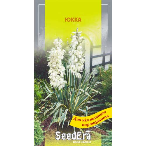 Юкка Seedera, семена рисунок 1 артикул 72700