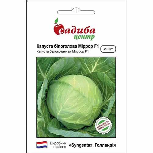 Капуста белокочанная Миррор F1 Садыба центр рисунок 1 артикул 89290
