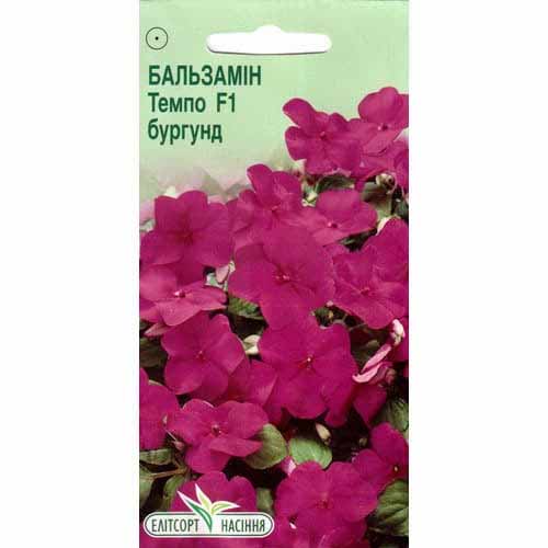 Бальзамин Темпо Бургунди F1 Элитсорт артикул фото 1 Бальзамин Темпо Бургунди F1 Элитсорт рисунок 1 артикул 90542