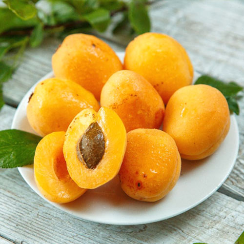 Абрикос Ананасный рисунок 1 артикул 7400