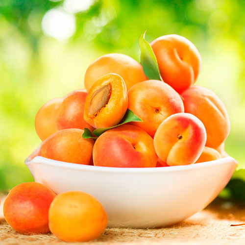 Абрикос Аврора зображення 1 артикул 4140