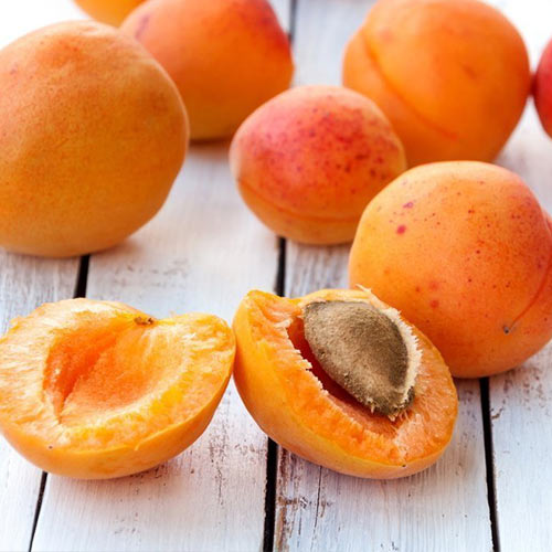 Абрикос Кармен Топ, саджанці зображення 1 артикул 4142