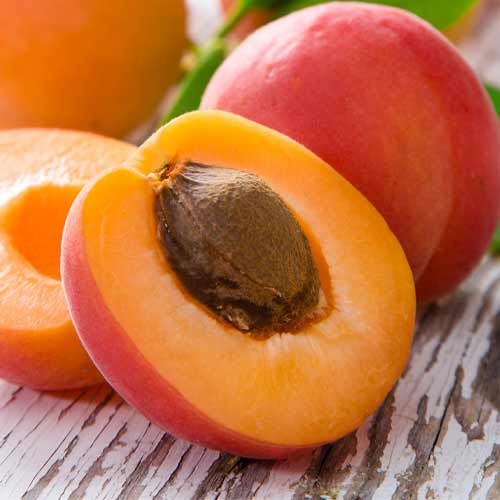 Абрикос Київський Красень зображення 1 артикул 5745