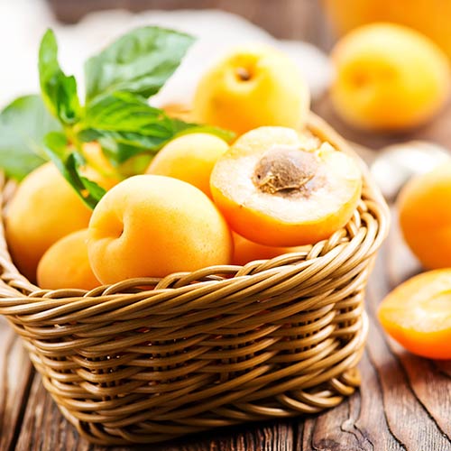 Абрикос Медовий зображення 1 артикул 7401