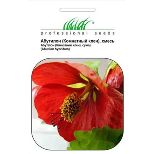 Абутілон, суміш забарвлень Професійне насіння артикул фото 1 Абутілон, суміш забарвлень Професійне насіння зображення 1 артикул 66198