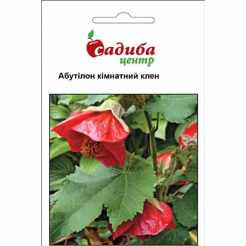 Абутілон, суміш забарвлень Садиба центр зображення 1 артикул 89001