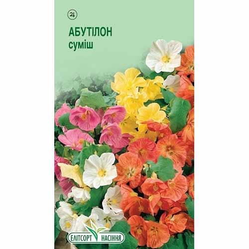 Абутілон, суміш забарвлень Елітсорт зображення 1 артикул 85895