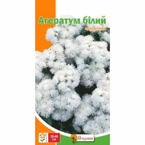 Агератум бiлий Яскрава зображення 1 артикул 72922