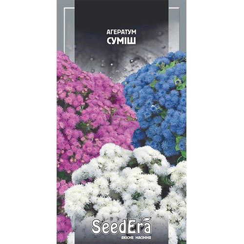 Агератум, суміш забарвлень Seedera зображення 1 артикул 94941