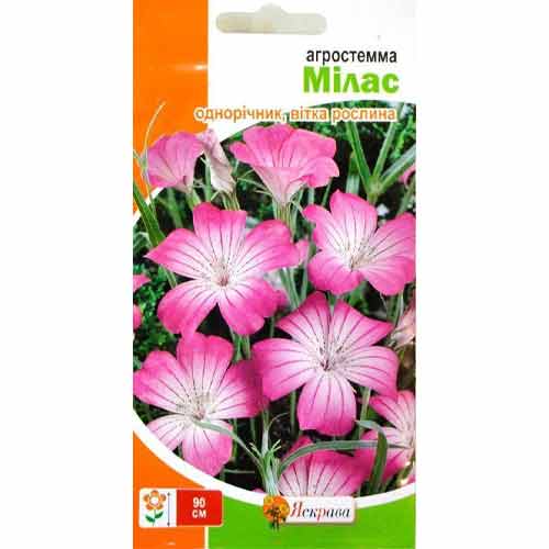 Агростемма Мілас зображення 1 артикул 72704