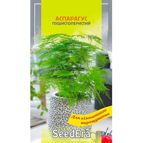 Ахиллея Желтая крупноцветковая Seedera рисунок 1 артикул 72060