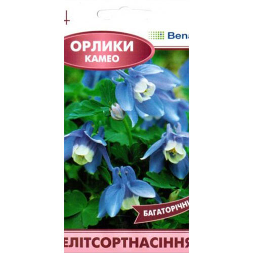 Аквилегия Камео бело-голубая Элитсорт рисунок 1 артикул 90848